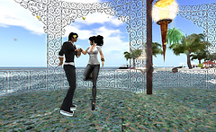 Snapshot_015