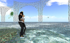 Snapshot_012
