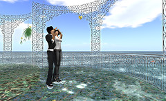 Snapshot_010
