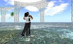 Snapshot_009
