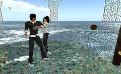 Snapshot_006