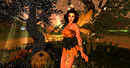 Autumn Fairy