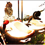♥♥♥Buta LOVE♥♥♥ {Life Is Good}