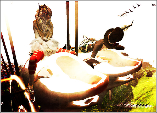 ♥♥♥Buta LOVE♥♥♥ {Life Is Good}