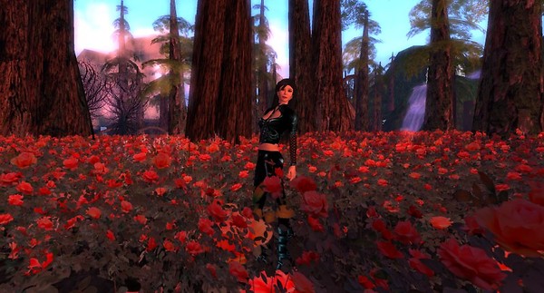 slscenic1