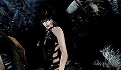 Snapshot_254 copy