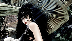 Snapshot_256 copy