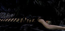 Snapshot_264 copy