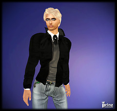 Ludwig Prinz