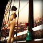 Special Offer-Shoji Kumaki Skybox Photo Gallery
