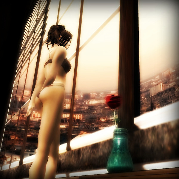 Special Offer-Shoji Kumaki Skybox Photo Gallery