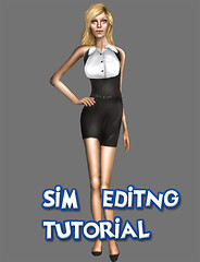sim editing tutorial
