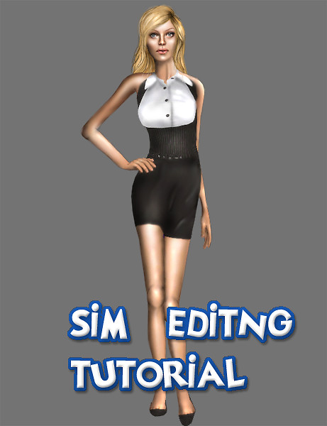 sim editing tutorial