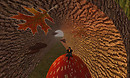 holodecking_02oct2009_09_001