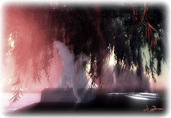 The dream of the last dragon