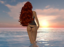 Shali contest_169c