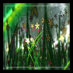 Jungle