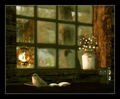 Fenêtre sur automne