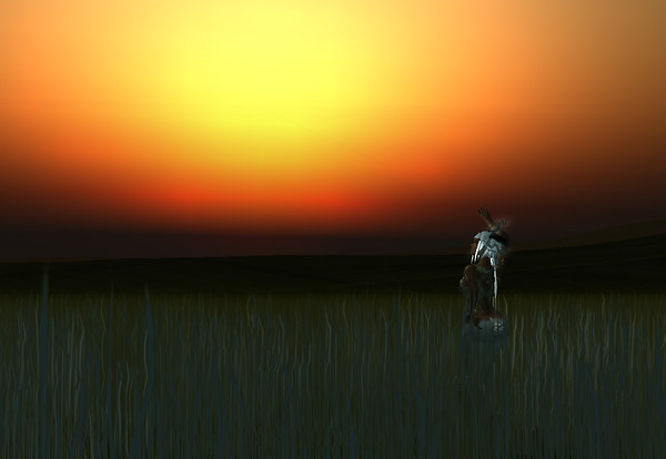 Touch the Sky