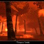 Burning Autumn Leaves