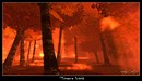 Burning Autumn Leaves