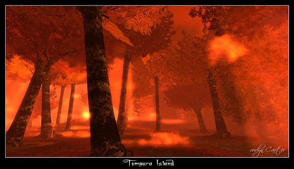 Burning Autumn Leaves