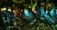 Bentham Forest 3