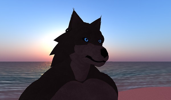 Loup - Loup Allen
