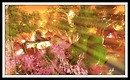 Radiant Bliss Music Project