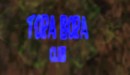 tora bora club