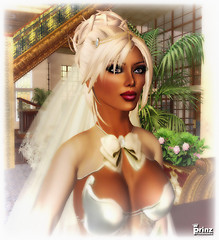 Pam Astonia - Bridal Portrait