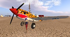 tiger_003