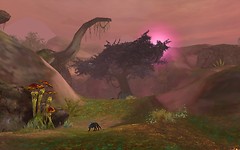 Aion Scenery