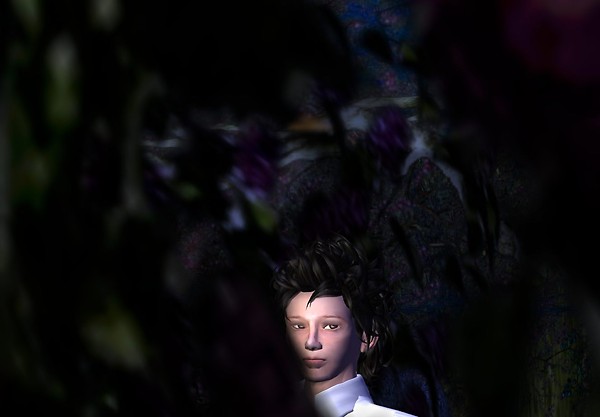 Fairy Forest