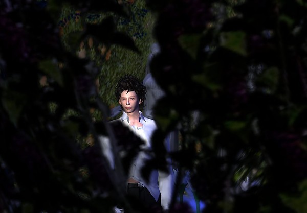 Fairy Forest