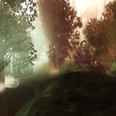 Dernwine's Forest