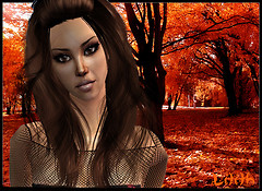 Autumn