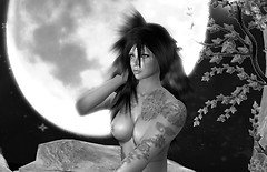 photofree