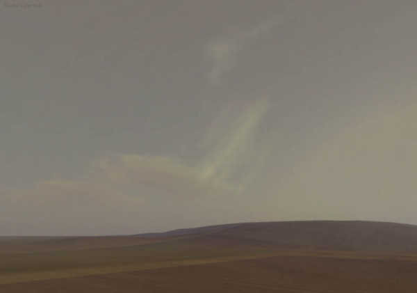 Untitled Landscape