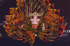 Snapshot_077