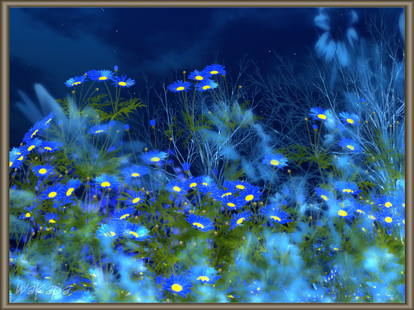 Charming blue