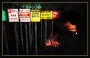 signs