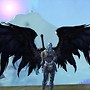 Aion - Wings