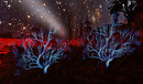 in the garden of good and evil