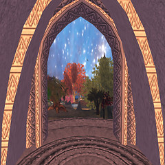 A View thru Arch