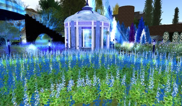 feast - virtual nature - Koinup Burt