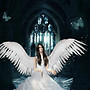 Sparkling angel, I couldn't see