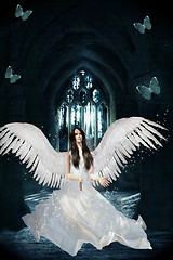 Sparkling angel, I couldn't see