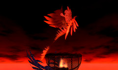 Burning Life - Phoenix