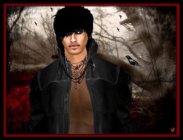 The Raven